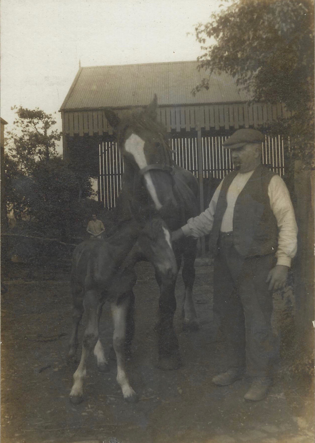 jamesrothwell1856